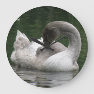 Relógio Grande Pulso de disparo sonolento da cisne