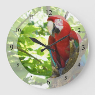 Relógio Grande Pulso de disparo vermelho e Dourado do Macaw