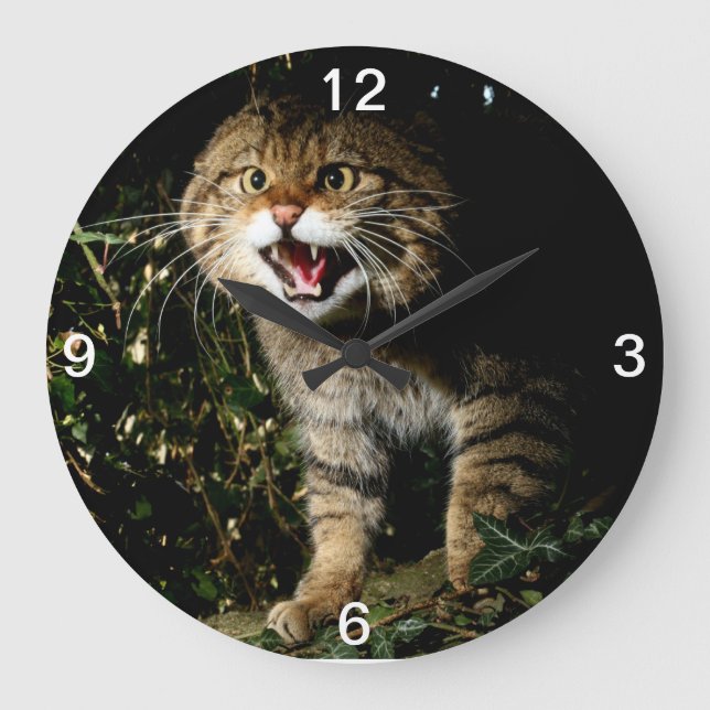Relógio Grande Pulso de disparo - wildcat escocês (Frente)