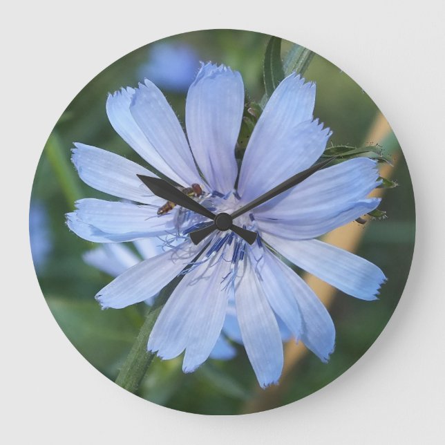 Relógio Grande Radicchio Azul Flor N Muro De Abelhas (Frente)