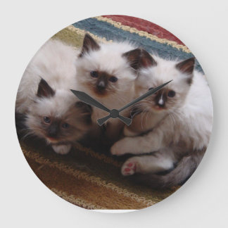 Relógio Grande Ragdoll Kittens Clock