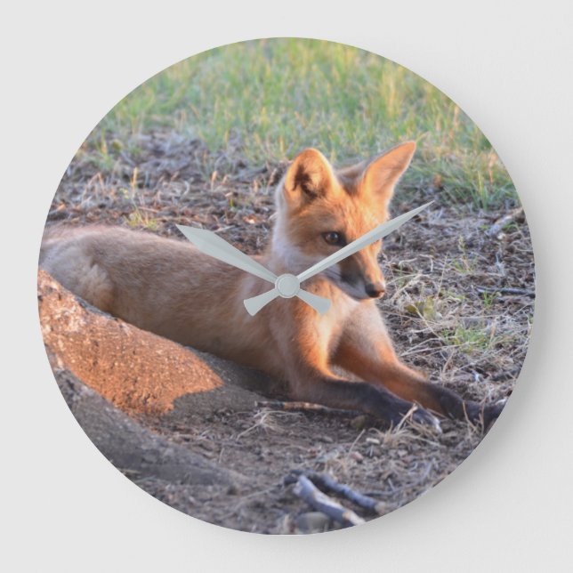 Relógio Grande Raposa à luz do sol (Frente)
