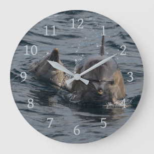 Relógio Grande Retrato do Fim-acima dos golfinhos, Tasmânia,