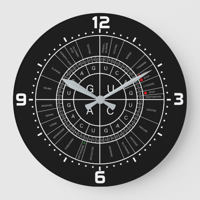 Relógio Grande RNA à RODA DE CÓDIGO AMINO ÁCIDO (Frente)