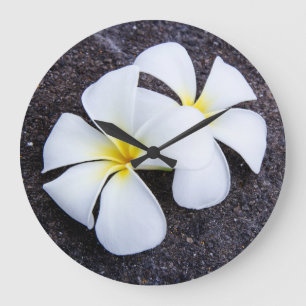 Relógio Grande Rocha floral da lava do Frangipani branco da flor