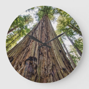 Relógio Grande Roosevelt Grove