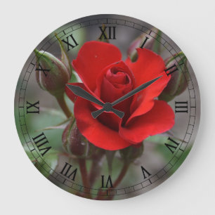 Relógio Grande Rosa vermelha Bud