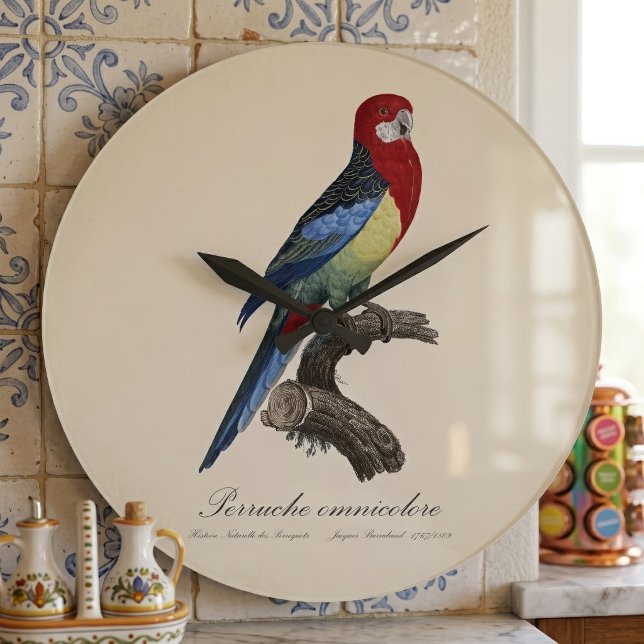 Relógio Grande Rosella-oriental ou periquito Platycercus eximius (Eastern rosella or Platycercus eximius parakeet. Large Clock)