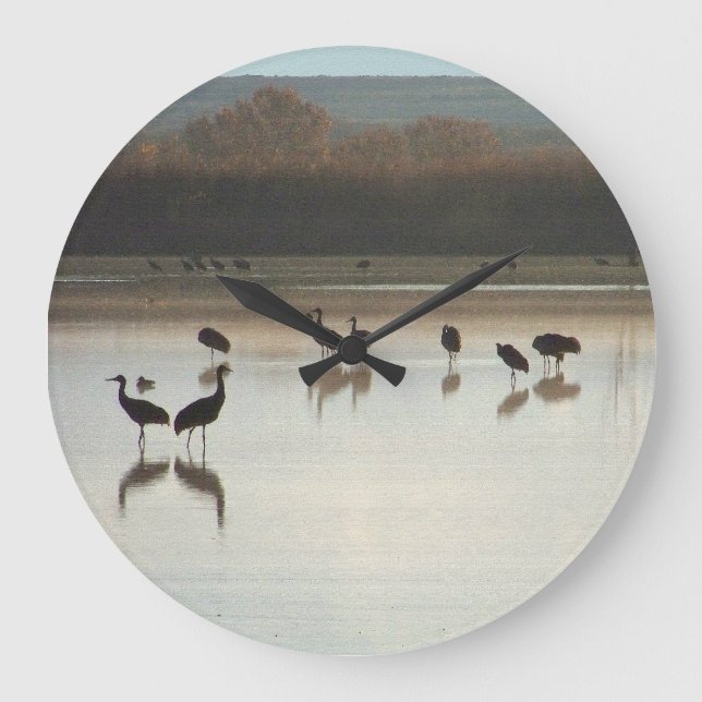 Relógio Grande Sanhill Crane Birds Animais Selvagens (Frente)