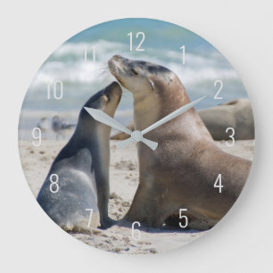 Relógio Grande Sea Lion e Baby Pup Beach Fechar o Retrato