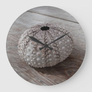 Relógio Grande Shell sobre uma mesa de madeira