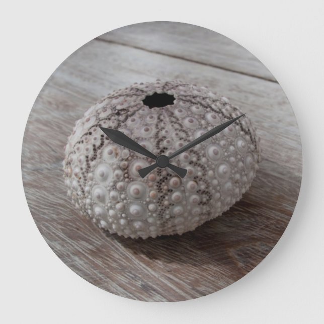 Relógio Grande Shell sobre uma mesa de madeira (Frente)