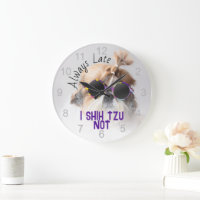 Shih Tzu Nem Sempre Tarde Foto de Cachorro Engraça