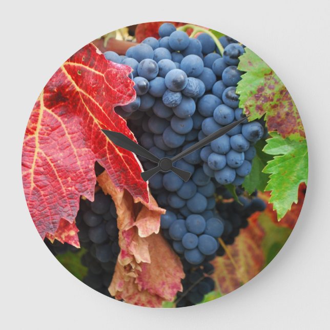 Relógio Grande Sonoma na queda (Frente)