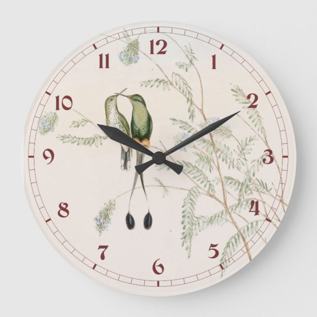 Relógio Grande Spathura Peruana Hummingbirds by John Gould (Frente)