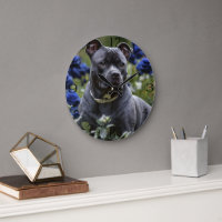 Staffordshire Bull Terrier In Blue Rosa Garden