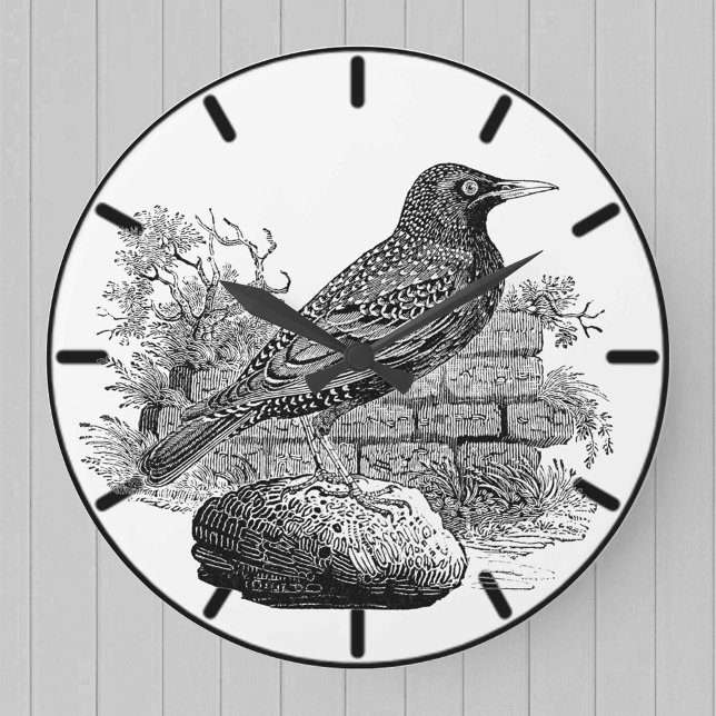 Relógio Grande Starling British Bird Large Clock (Criador carregado)