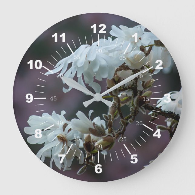 Relógio Grande Starry Magnolia 5780 (Frente)