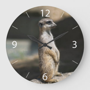 Relógio Grande Suricata