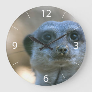 Relógio Grande Suricata engraçada