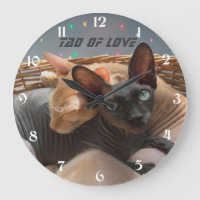 Tao do Amor - Dois Gatos Esfinges Personalizados