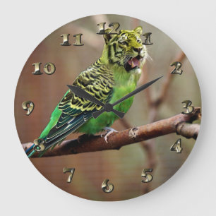 Relógio Grande Tiger Parakeet