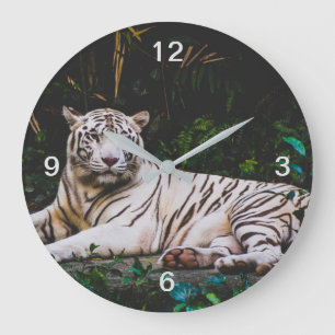 Relógio Grande Tigre