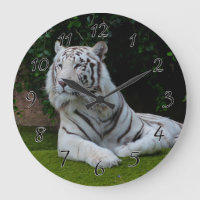 Tigre de Bengal branco