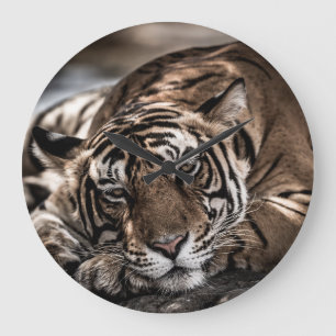 Relógio Grande Tigre Ranthambore: arte fina de close-up.