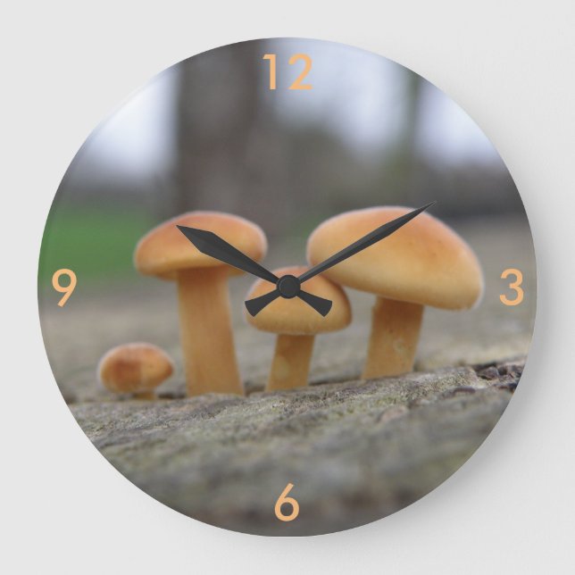 Relógio Grande Toadstools Macro Wall Clock (Frente)