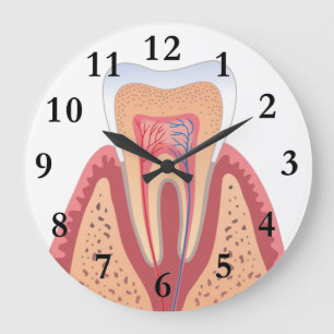 RELÓGIO GRANDE TOOTH STRUCTURE