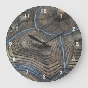 Relógio Grande Tortoisesinferno antigo