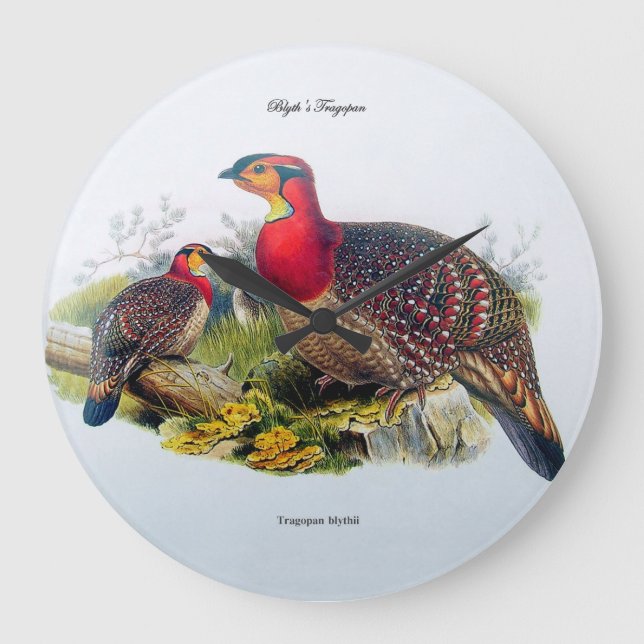 Relógio Grande Tragopan de Blyth/Horny Pheasant Clock J.Gould 188 (Frente)