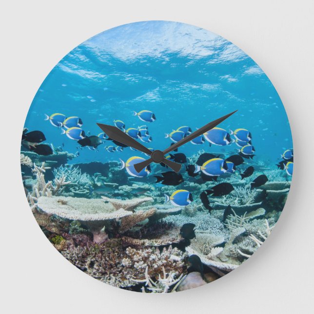 Relógio Grande Tropical Beaches | Sturgeon Amongst Coral (Frente)