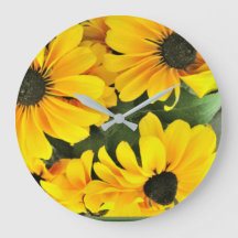 Um Molho de Coneflowers Amarelas