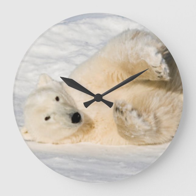Relógio Grande Urso polar perto da baía de Hudson (Frente)