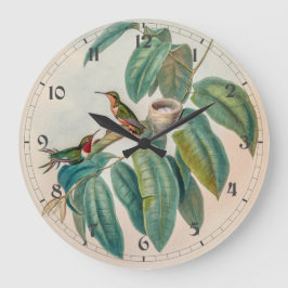 Relógio Grande Vintage Hummingbird por John Gould