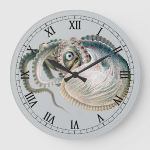 Relógio Grande Vintage Octopus Argonaut, Animais da Vida Marinha