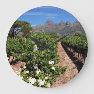 Relógio Grande Vista De Vineyards. Stellenbosch