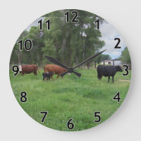 Vitelos e Vacas na Pastagem