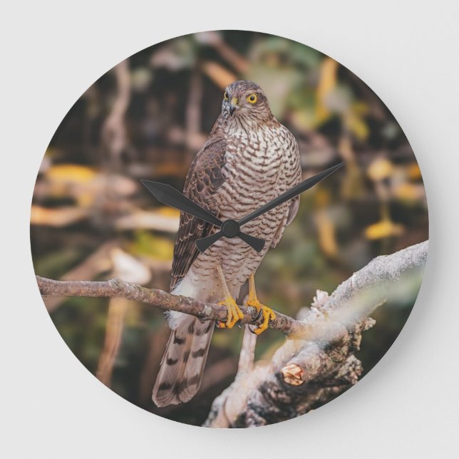 Relógio Grande Wall Clock (Frente)