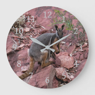 Relógio Grande Wallaby de Pé Amarelo Raro e Bebê Austrália