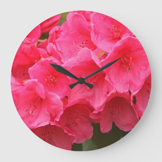 Relógio Grande Washington, Seattle, Puget Sound, Discovery Park (Frente)