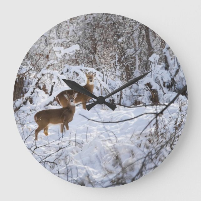 Relógio Grande Whitetail Deer Clock (Frente)