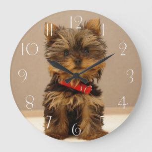 Relógio Grande Yorkshire Terrier Puppy Dog