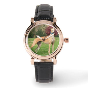 Relógio Greyhound Watch