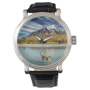 Relógio Guanaco que cruza o rio em Torres del Paine
