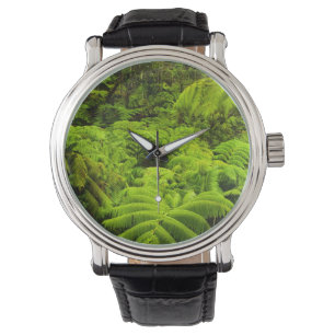 Relógio Havaí, Grande Ilha, Vegetação tropical exuberante