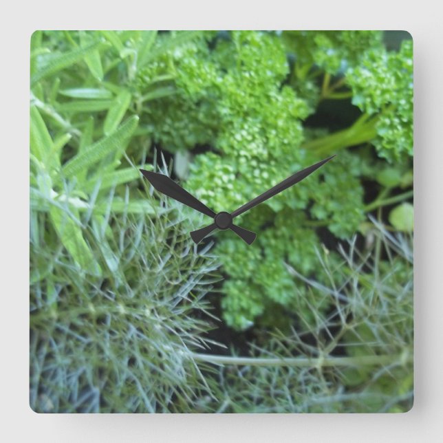 Relógio Herb (Frente)