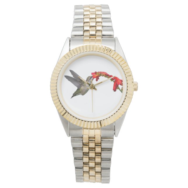 Relógio Hummingbird E Crocosmia (Frente)